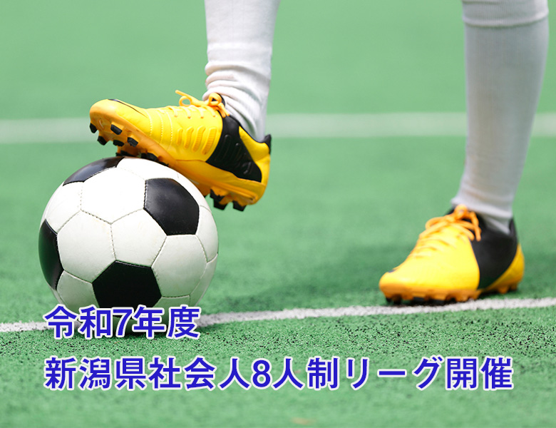 新潟県社会人サッカー8人制リーグ