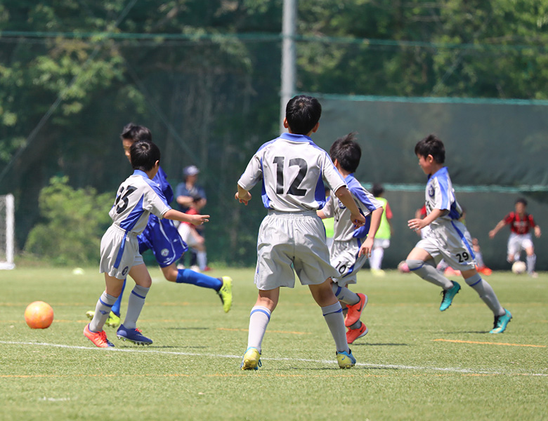 一般社団法人新潟県サッカー協会